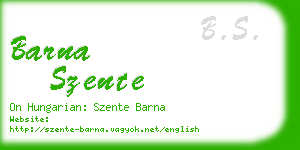 barna szente business card